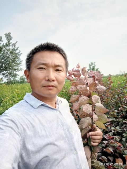 孩子爸的第一张照片--揭阳相亲服务中心