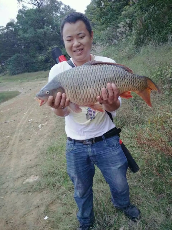 迷路的男人的第一张照片--揭阳相亲服务中心
