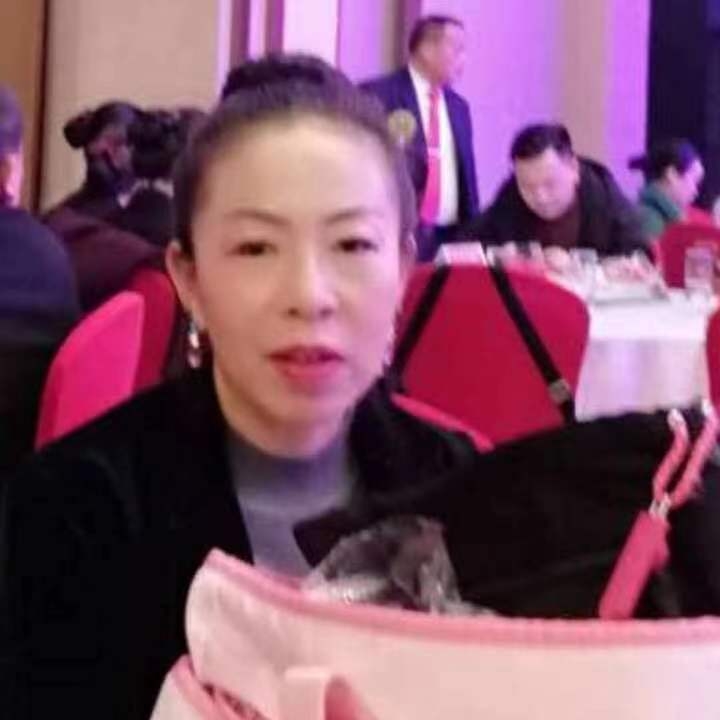 中秋桂花玉兔的第四张照片--揭阳相亲服务中心