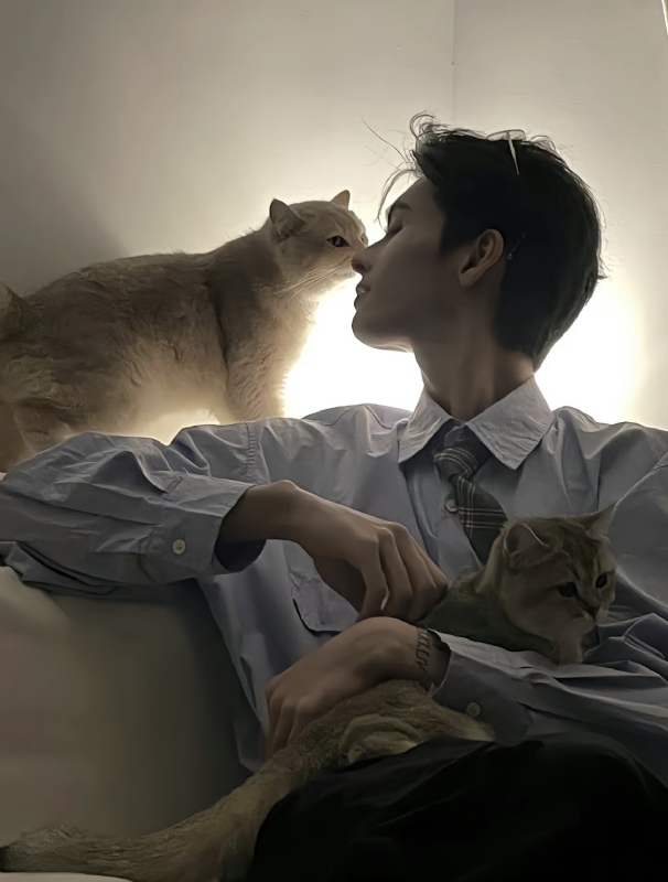 怪猫的第一张照片--揭阳相亲服务中心