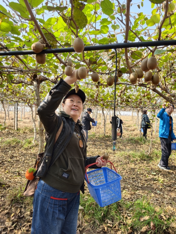 夜莺的第四张照片--揭阳相亲服务中心